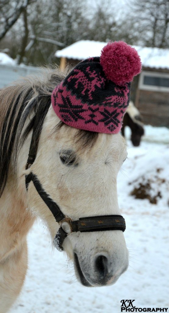 Zimowo :p