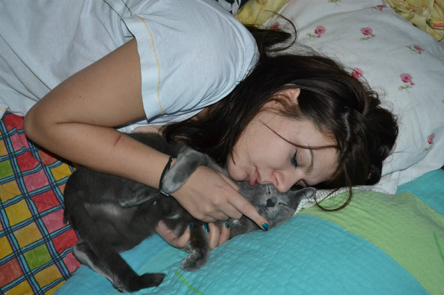kicia 