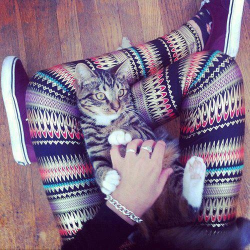 Mj kocurek ! :*