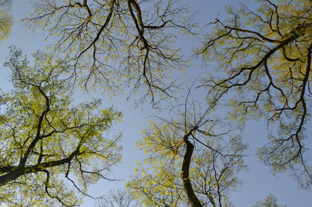 blue sky.