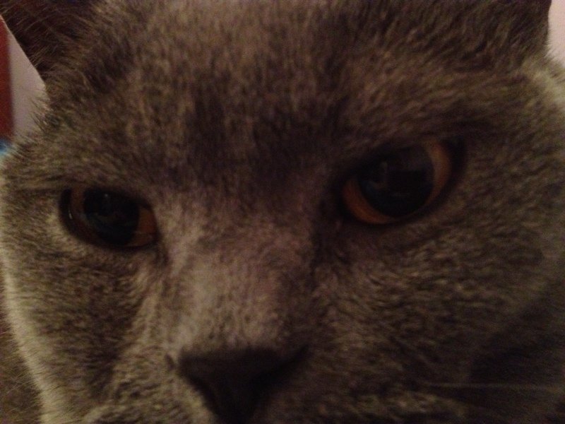 :o