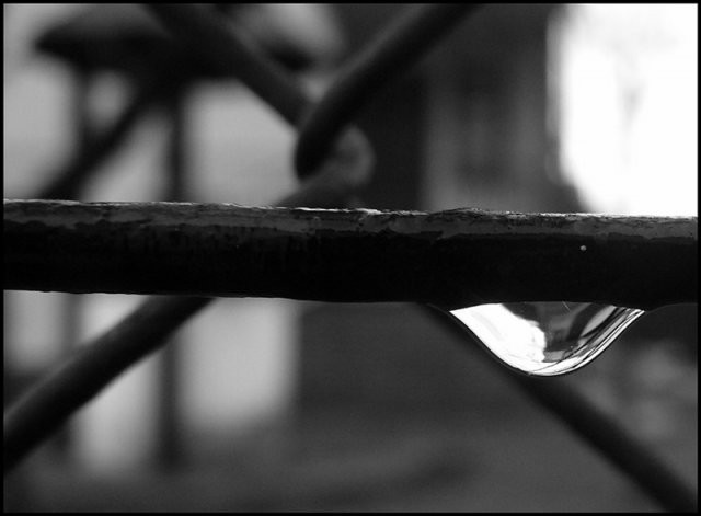 solitude...