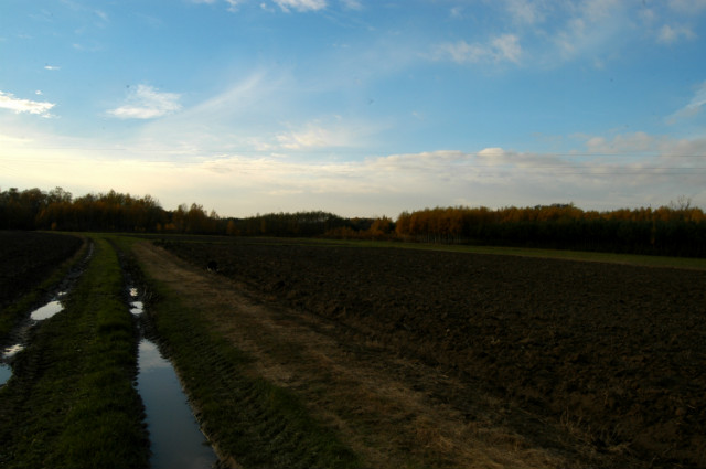 jesie 2012