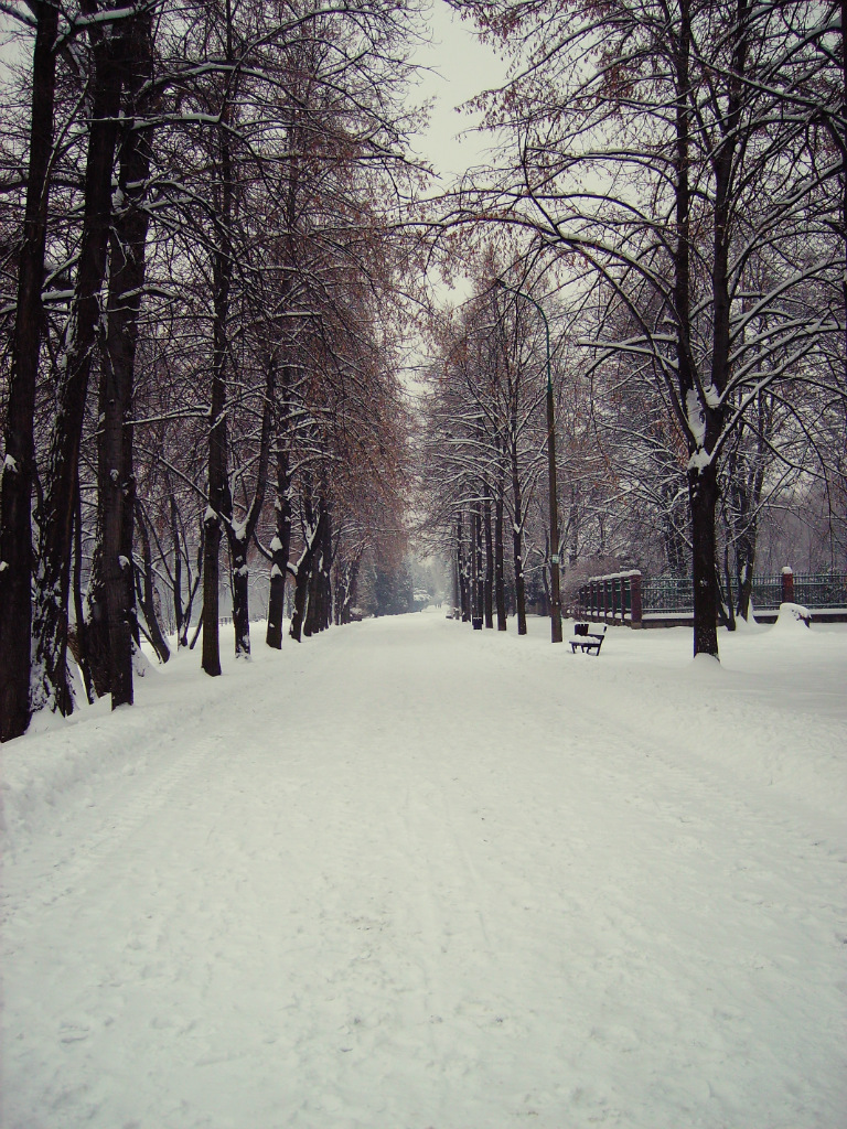 zima *__*