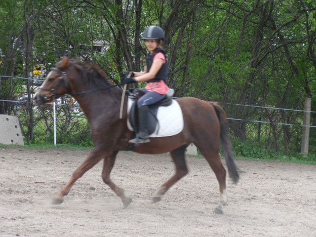 Kusy 