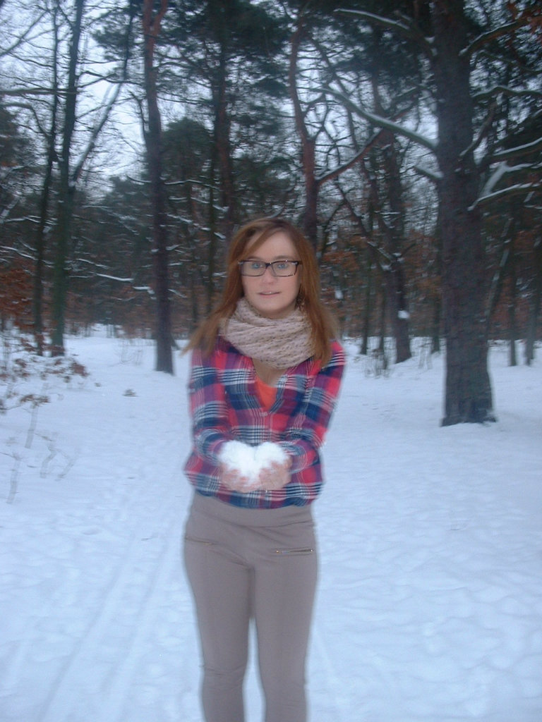 Opisy