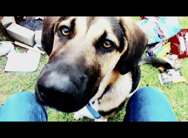 Marley