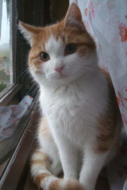 Julian:)
