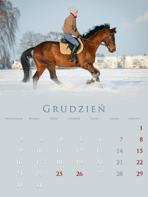 Grudzie 