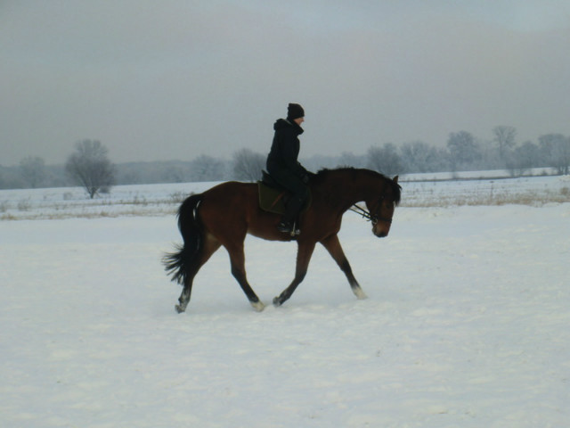 zima 2013