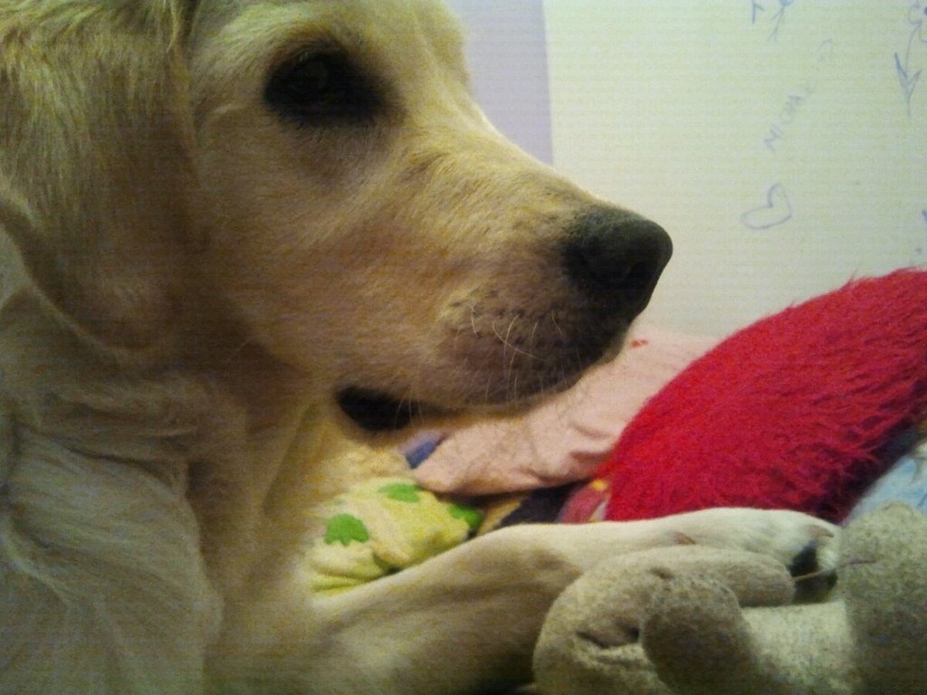 Cloe 