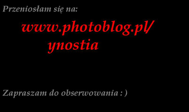 przeprowadzka ; >