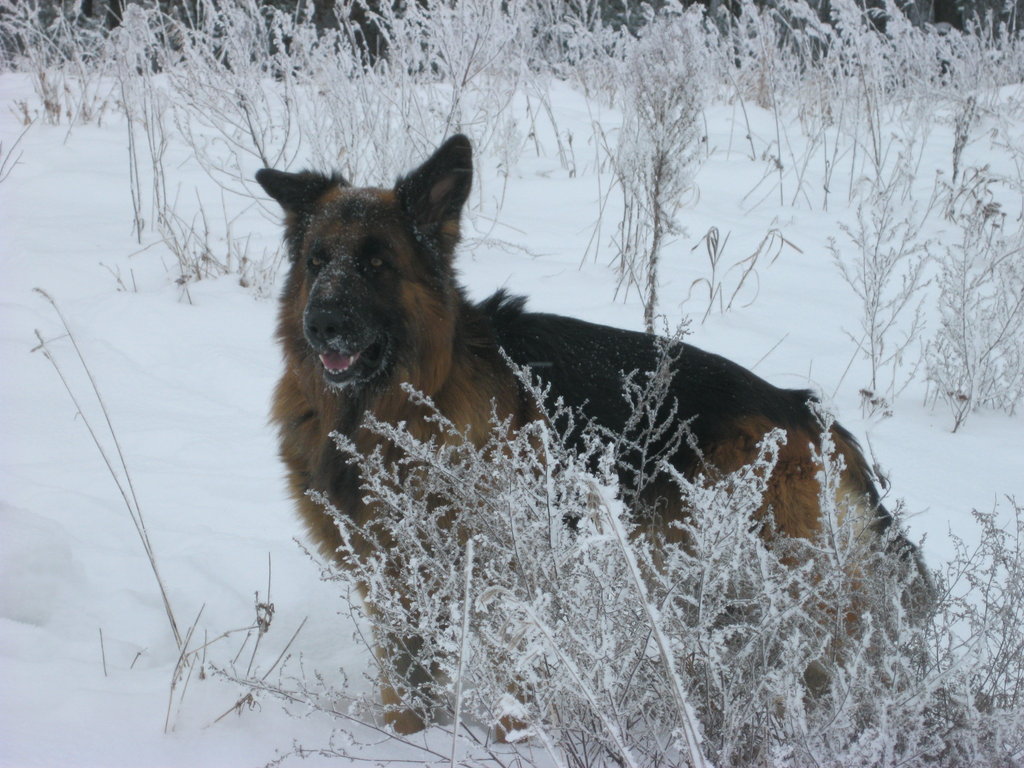 Argo...