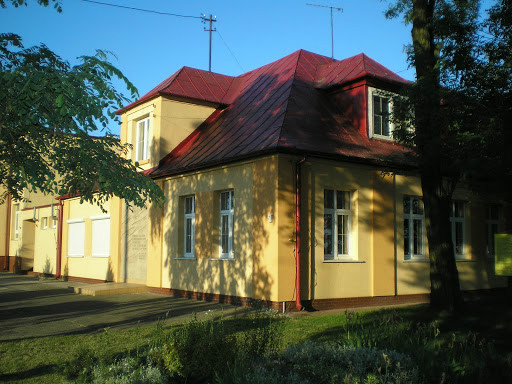 ciekawostki :