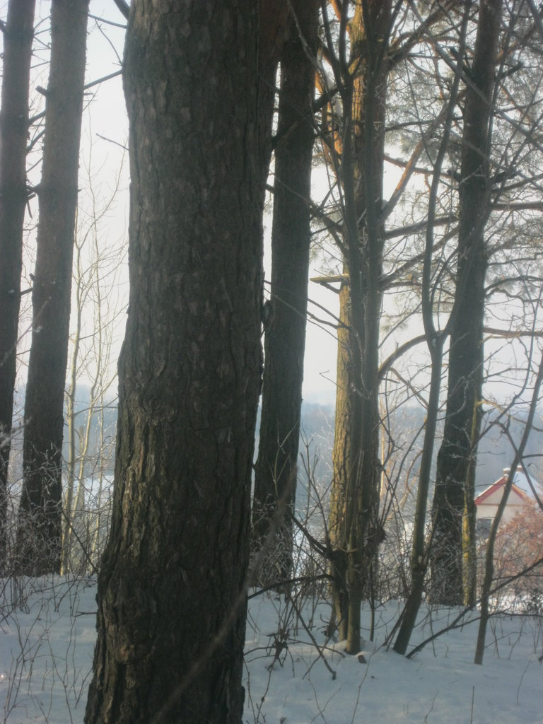 ktokolwiek wie....