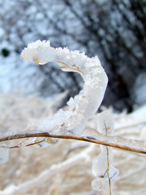 Frost
