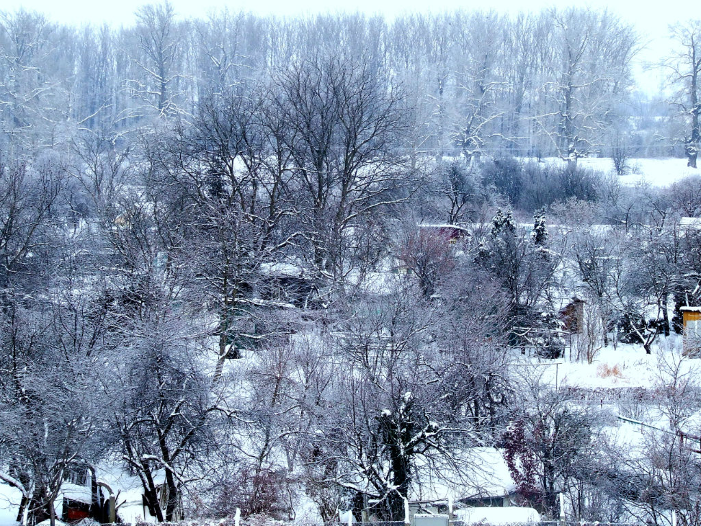Everything white