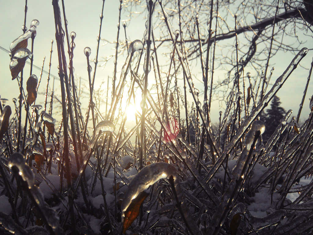winter's everywhere