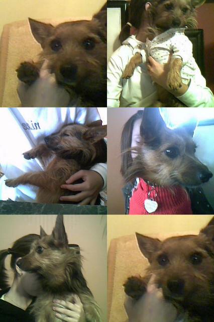 Dzekuss ;p