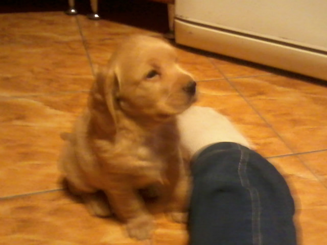 Kileerek ;D