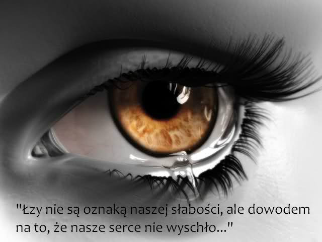 Kocham i Nienawidze.