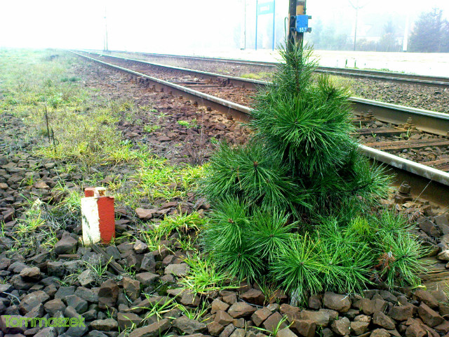 Z natur nie wygrasz!