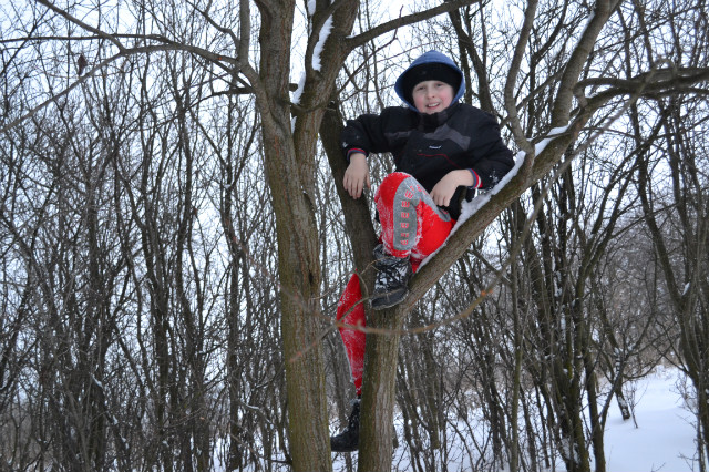 Wspinaczka na drzewo