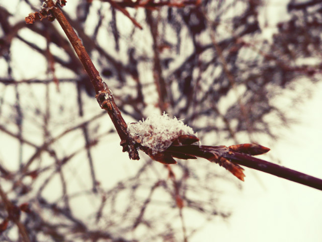Let it be.