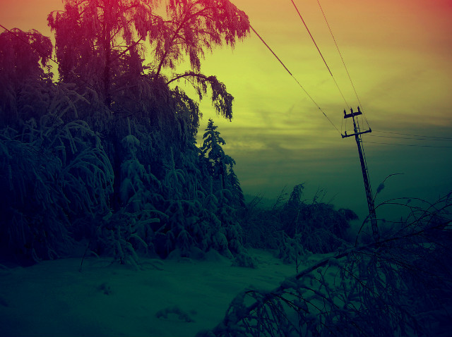 colour of winter