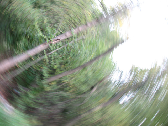 To nie Photoshop :]