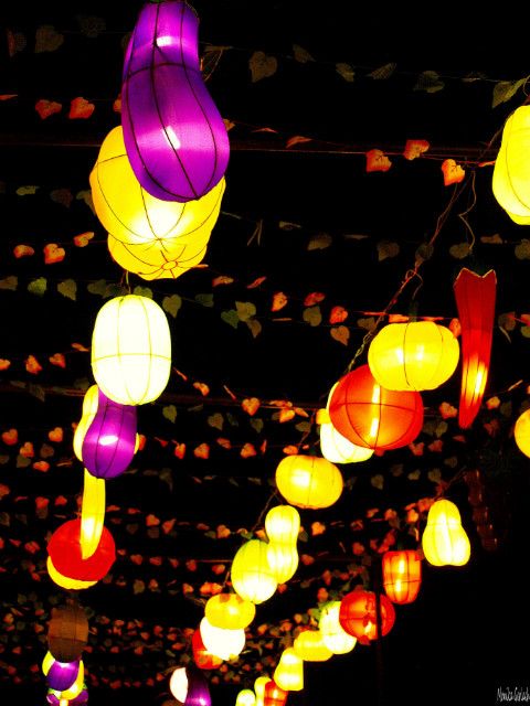 China Light Rotterdam 