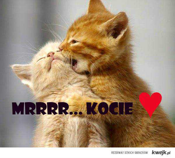 Mrrrrrr.