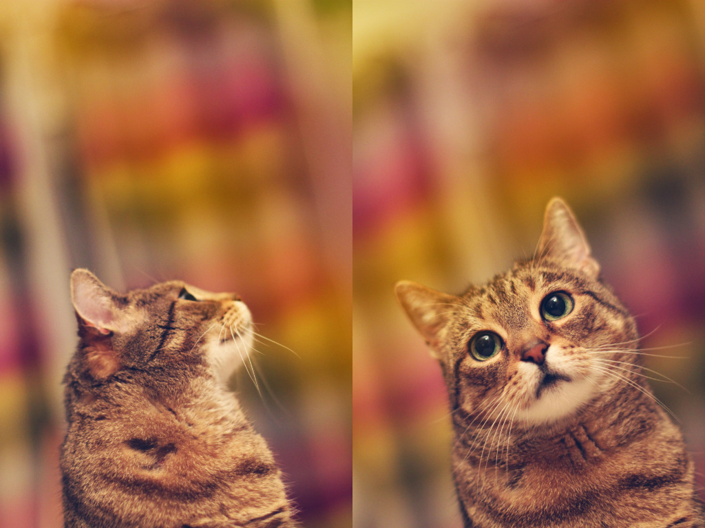 colours of happiness.