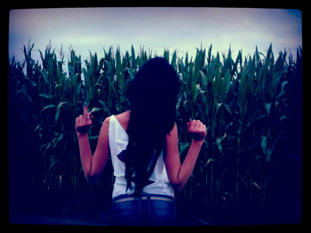 f e r i e   2 0 1 3 