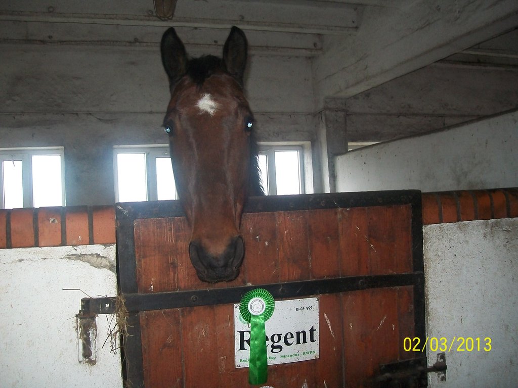 Regent - Is My Life 