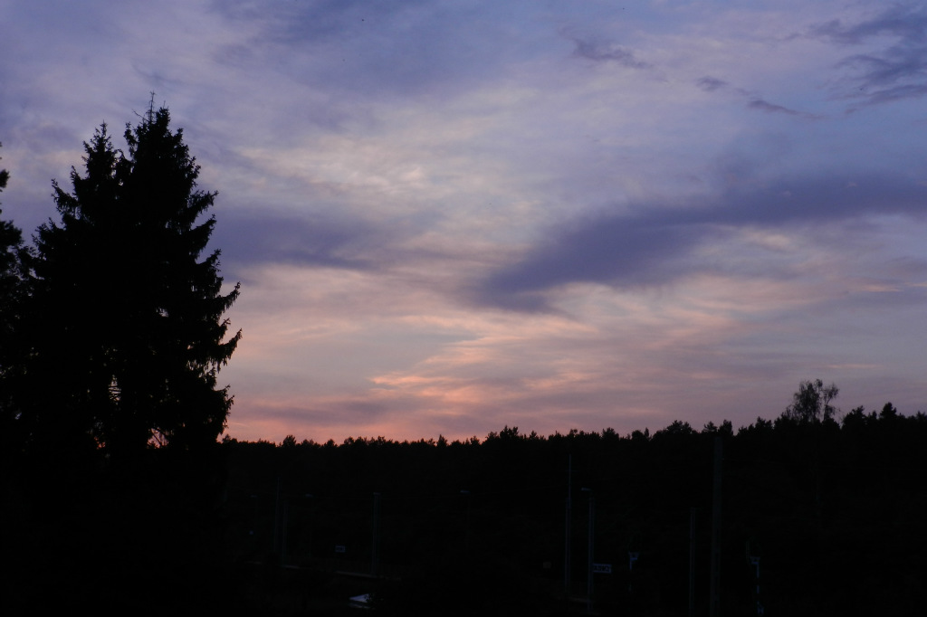 Drzewce Kolonia