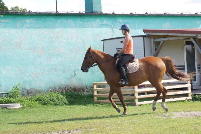 Rox :D
