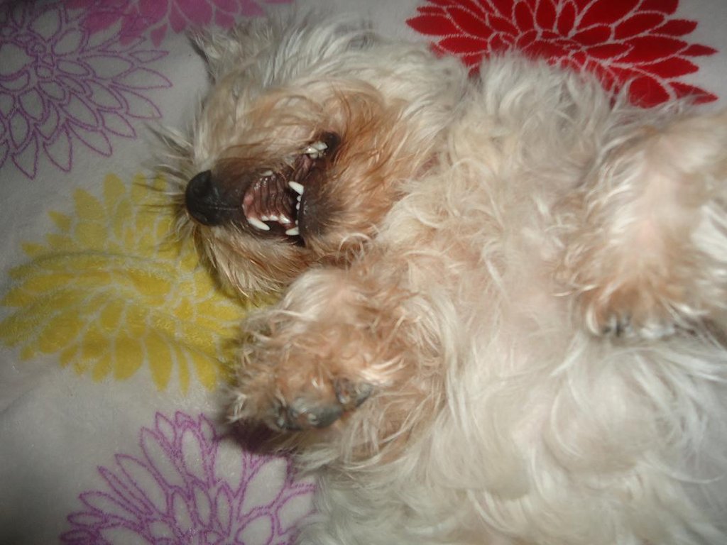 Abby