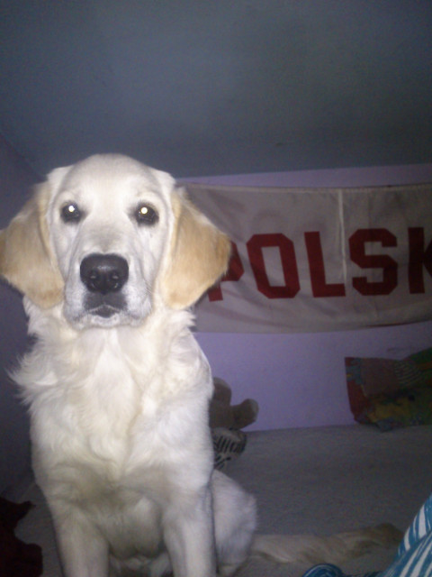 Cloe [*]