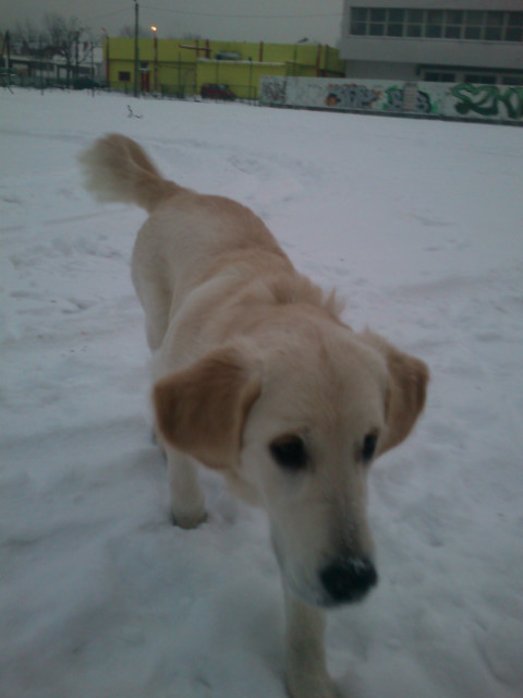 Cloe [*]