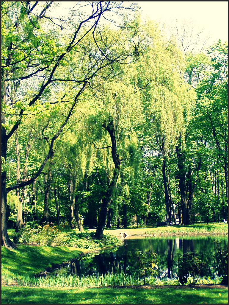 Planty 