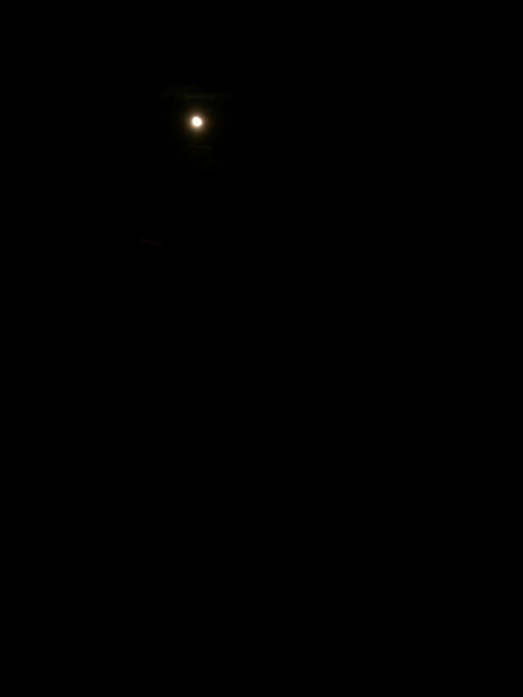 27.01.2013