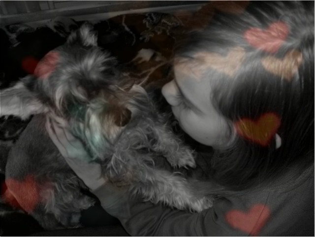 ABA *.*