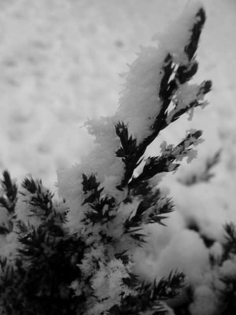09.02'13