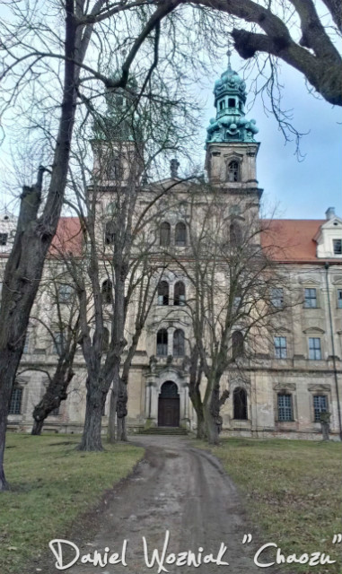 Lubi