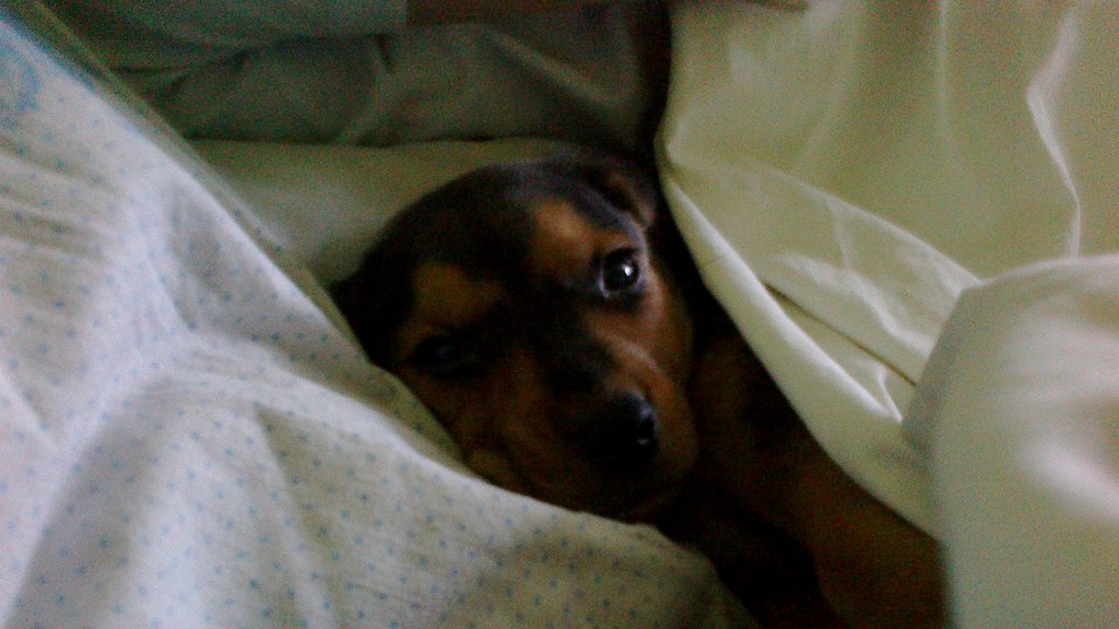 Bobi : ) 