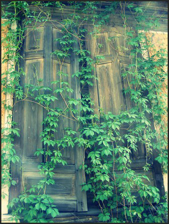 Window ;P