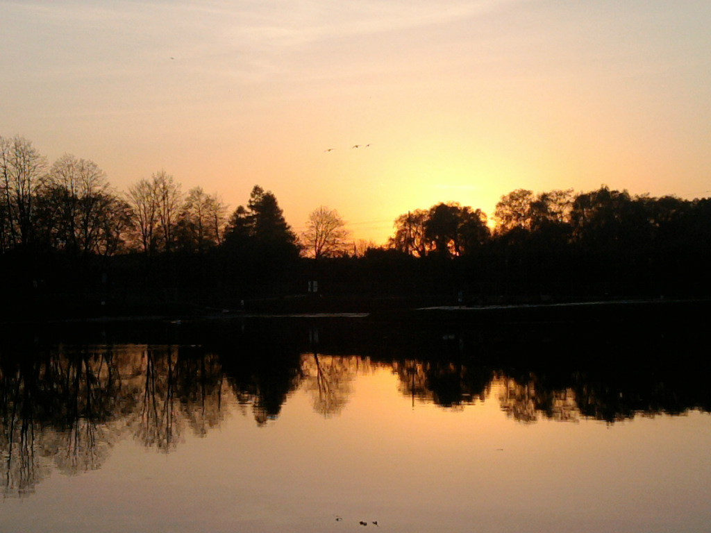 Shadow of the evening sun