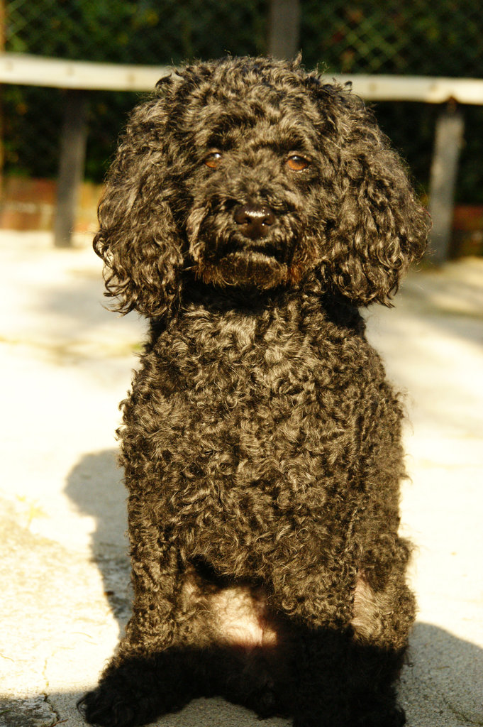 Majcia :)