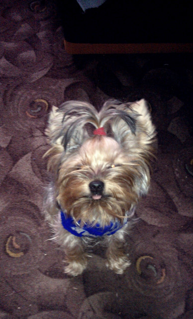pyszczek ;*